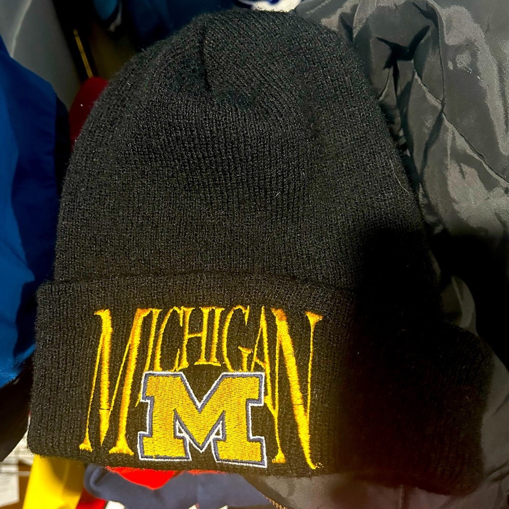 Vintage Michigan wolverine’s hat